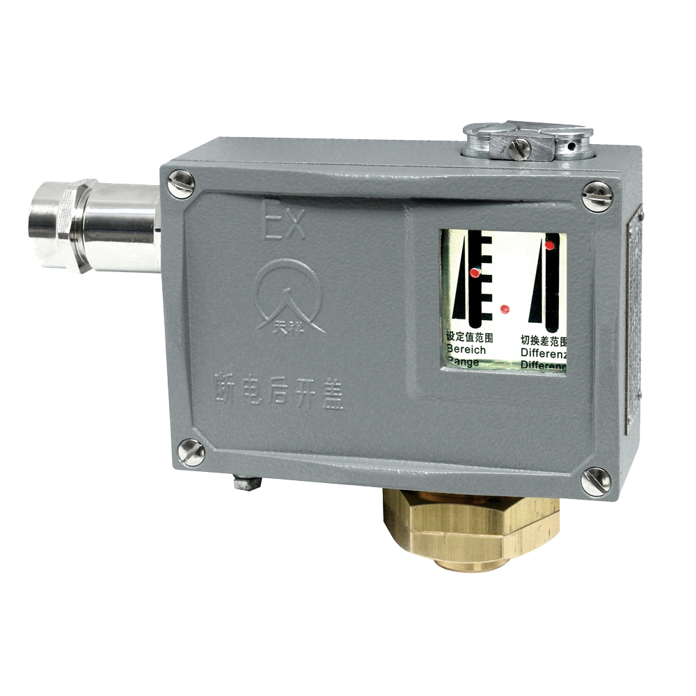 500/7D防爆型壓力開關(guān) 500/7D防爆型壓力開關(guān)